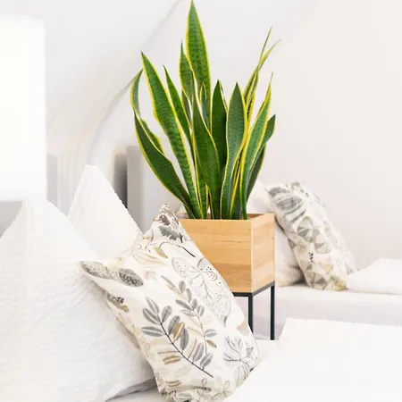 公寓 Easygoing Switch Streaming Schoenes 6 Personen 阿恩斯贝格