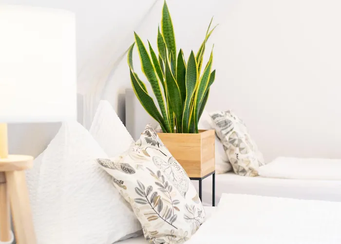 아파트 Easygoing Switch Streaming Schoenes 6 Personen 아른스베르크