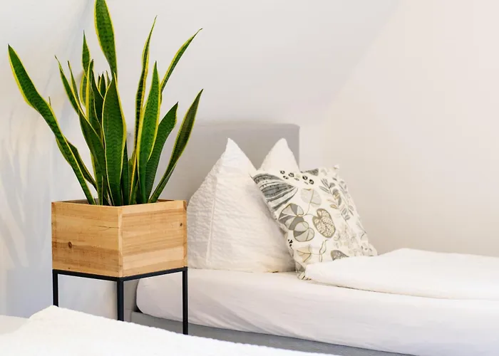 公寓 Easygoing Switch Streaming Schoenes 6 Personen